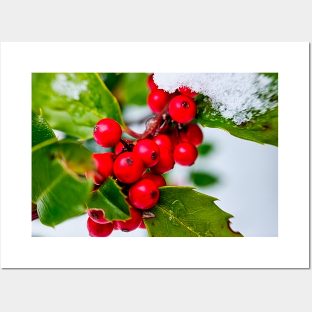 Holly Jolly 3 Wall Art by Robert Alsop